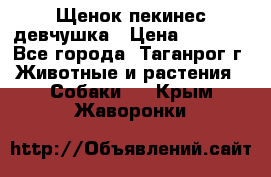 Щенок пекинес девчушка › Цена ­ 2 500 - Все города, Таганрог г. Животные и растения » Собаки   . Крым,Жаворонки